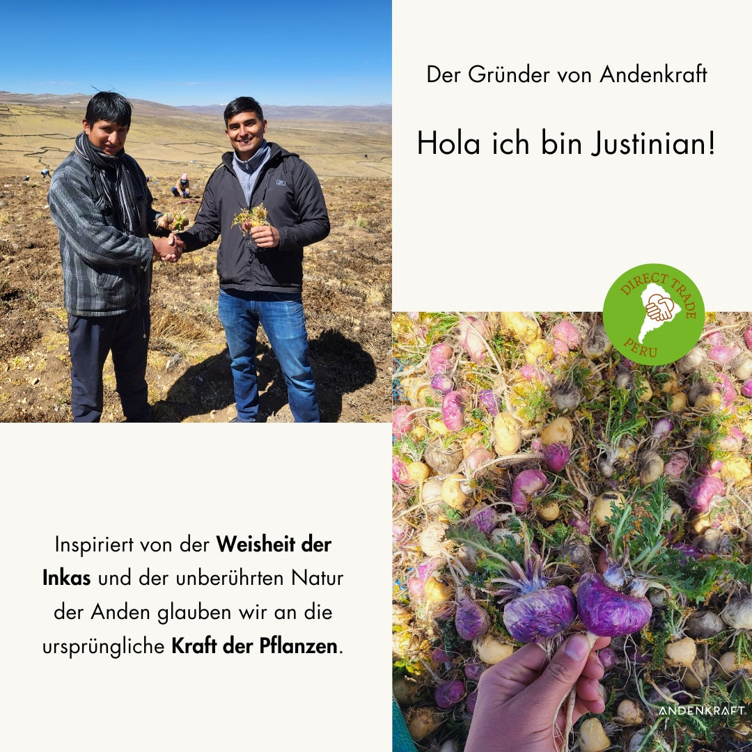 Bio Maca Andenkraft Gründer auf den Anbaufeldern in Peru
