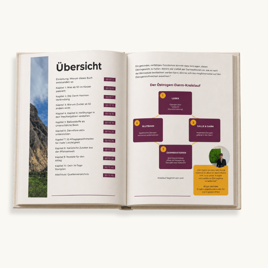 Ebook Einblick