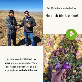 Bio Maca Andenkraft Gründer auf den Anbaufeldern in Peru