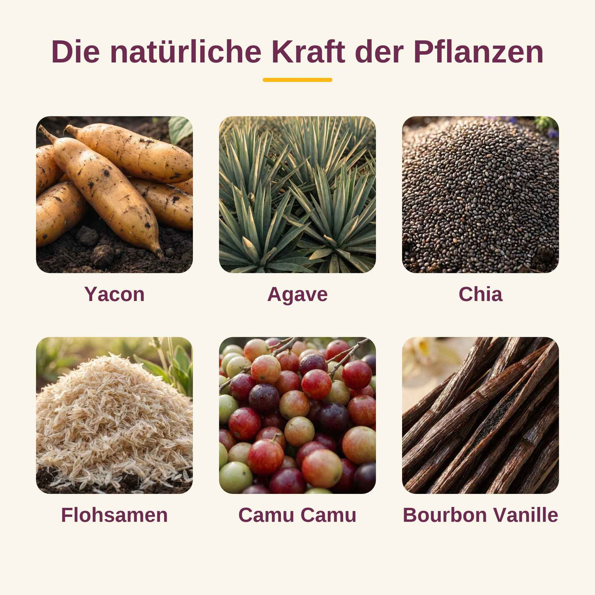 Inka Gut - Darm Routine