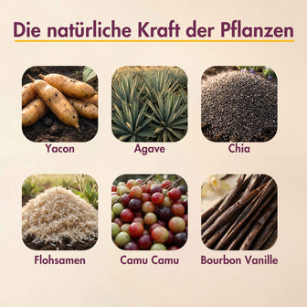 Limitiertes Angebot: Darm Routine Set (34% Rabatt)