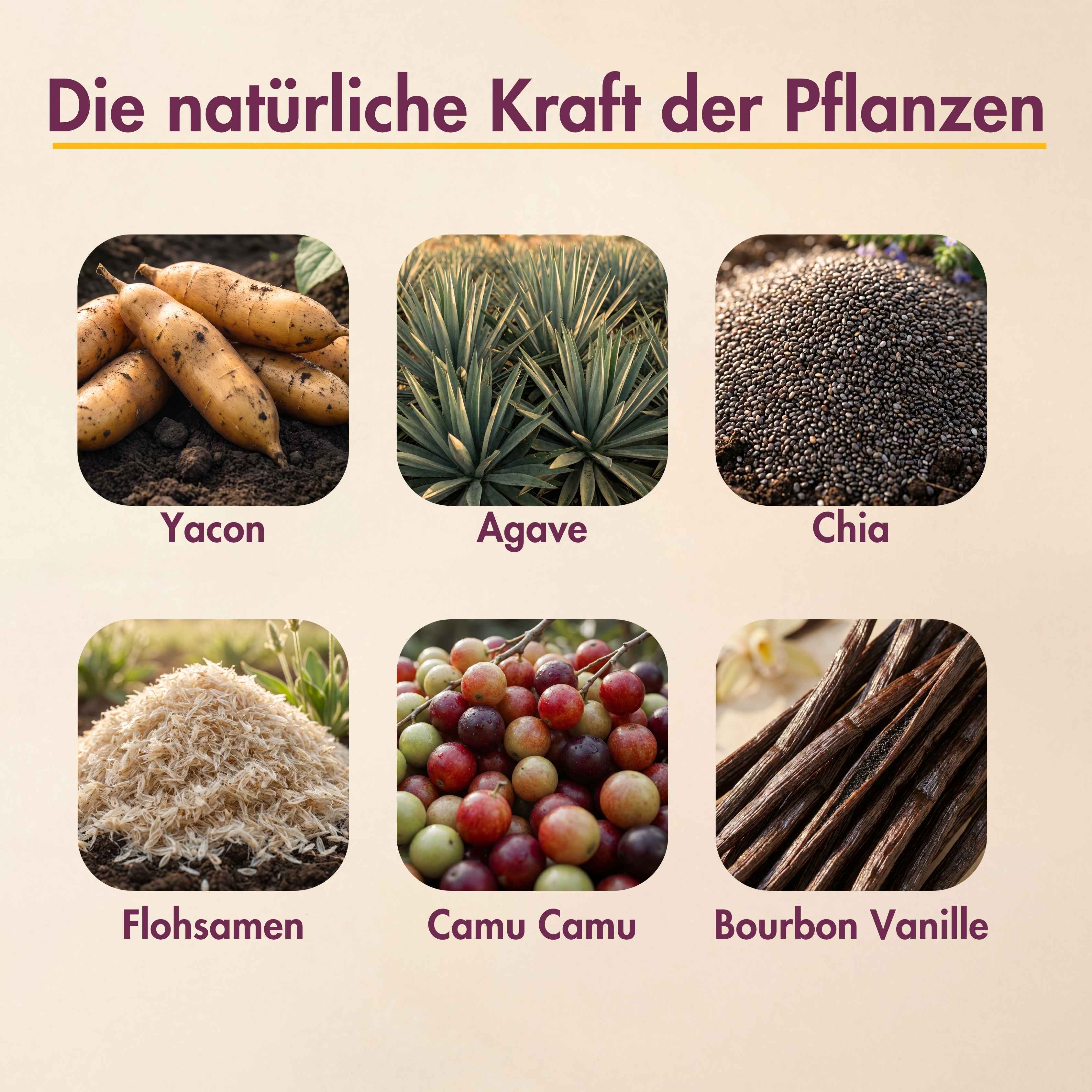 Inka Gut - Darm Routine