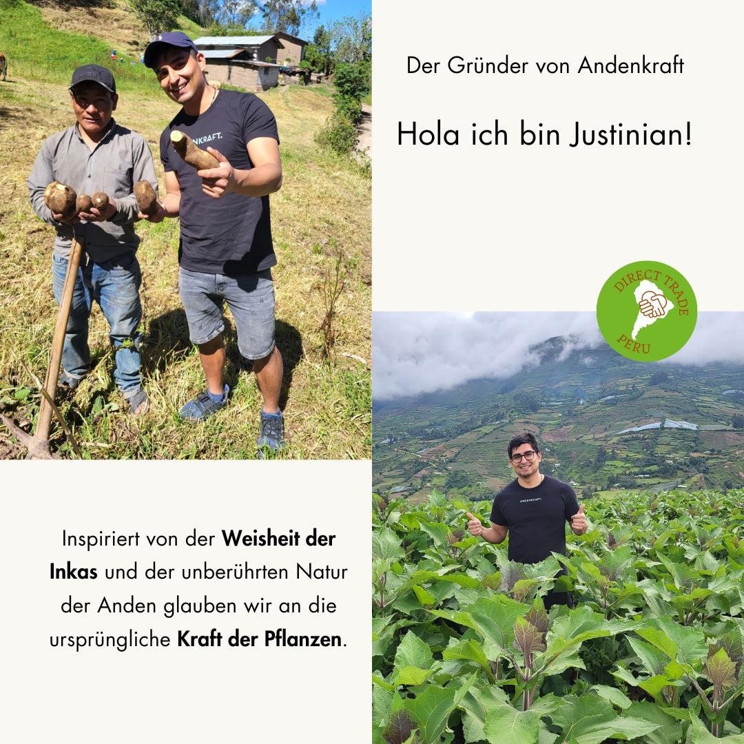 Yacon Plantage Gründer Justinian  zu Besuch bei den Kleinbauern