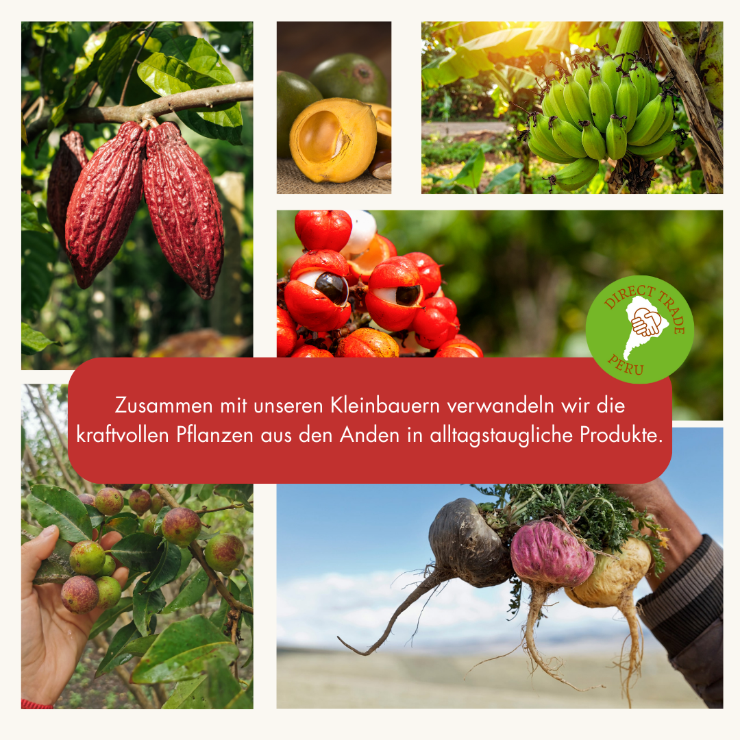 Direkthandel mit Kleinbauern: Andenkraft nutzt kraftvolle Superfoods wie Maca, Guarana, Camu Camu und Kakaobohnen aus den Anden