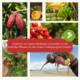Direkthandel mit Kleinbauern: Andenkraft nutzt kraftvolle Superfoods wie Maca, Guarana, Camu Camu und Kakaobohnen aus den Anden